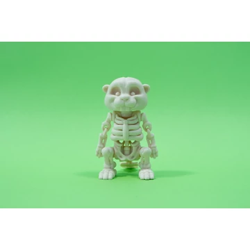 3D nyomtatott csont Hód