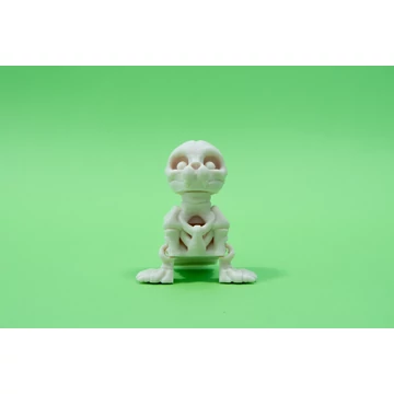 3D nyomtatott csont Fóka