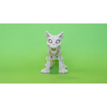 3D nyomtatott csont cica