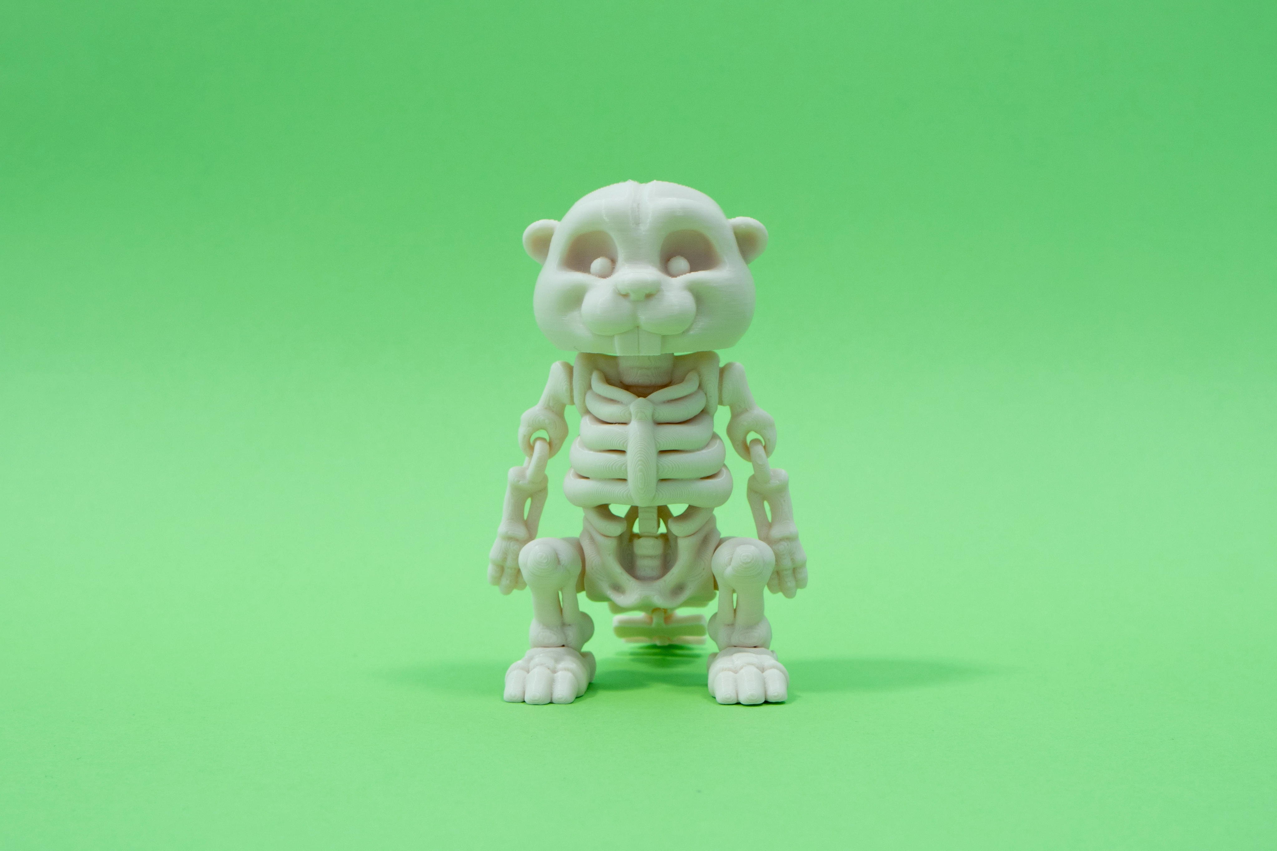 3D nyomtatott csont Hód