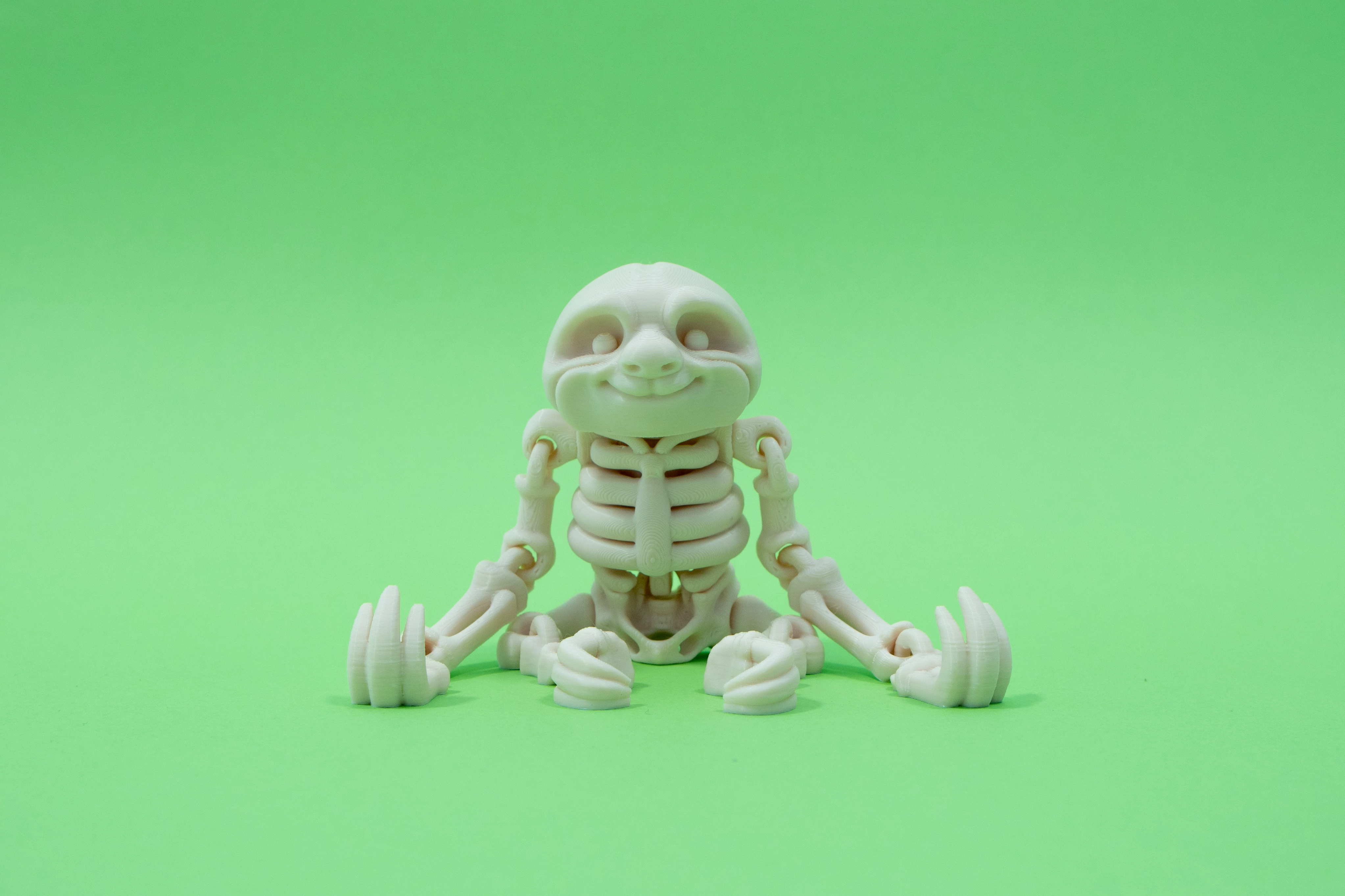 3D nyomtatott csont Lajhár