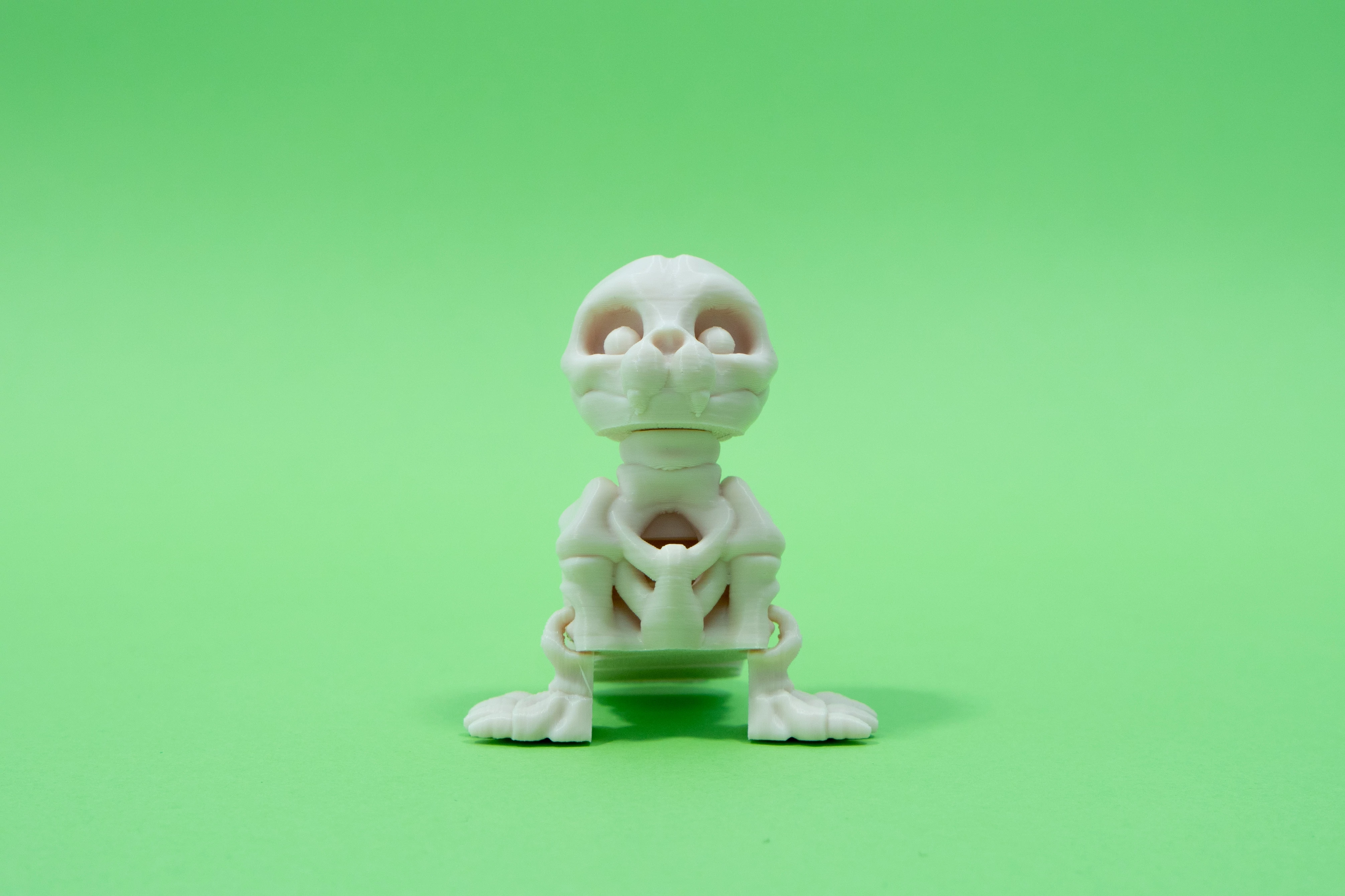 3D nyomtatott csont Fóka
